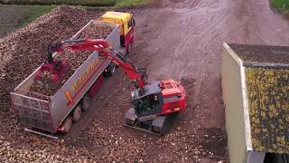 Suikerbieten laden  Loading sugar beet  Atlas 160W  Wagemakers [upl. by Ahsaei845]