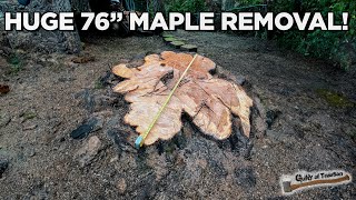 The WORST Maple Ive Ever Removed  Part 2 [upl. by Leatrice]