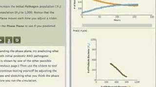 Competition Chapter in SimUText Ecology [upl. by Lodmilla843]