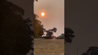 Canadian Wildfire Sky Sunrise  Mon 19Aug24 [upl. by Knuth]