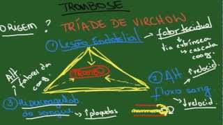 Trombose e Embolia  Resumo  Patologia Geral [upl. by Ybhsa]