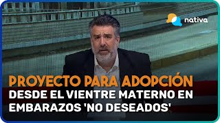 🔵 Congreso promueve proyecto para adopción desde el vientre materno en embarazos no deseados [upl. by Pennington]