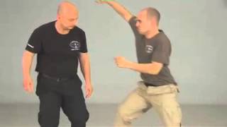 Russian Systema Disarm Techniques [upl. by Cayla570]