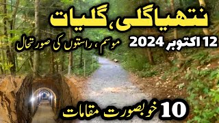 Murree live today  nathiagali hotels room rent  nathiagali weather  nathia Gali latest update [upl. by Aerua]