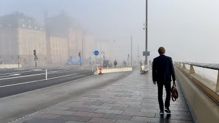 Stockholm Walks beautiful morning fog around Slussen Misty walk from Södermalm to Old Town [upl. by Ervine226]