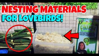 PUGAD NG LOVEBIRDS  NESTING MATERIALS [upl. by Ratna764]