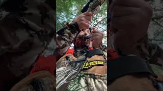 BEST DEER CALL LURE  Illusion Systems Extinguisher shorts shortsvideo deerhunting deer [upl. by Ihcalam]