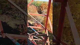 Mohican Forrest Fall colors Loudonville Ohio 102424 [upl. by Wareing641]