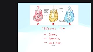 ECCRINEAPOCRINE AND HOLOCRINE GLAND DIFFERENCES [upl. by Leumel137]