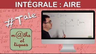 Déterminer une intégrale par calculs daire 1  Terminale [upl. by Savadove]