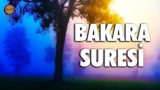 Bakara Suresi  Evdeki Geçimsizliğe Huzursuzluğa Sıkıntılarınıza Şifa  Eyad Mohra [upl. by Tiraj]