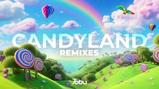 Tobu  Candyland Remixes Full Album [upl. by Eittel]