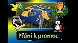 Přání k promoci 🎓 [upl. by Hadrian]