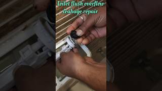 Toilet flush leakage how to fix shortfeed [upl. by Annav966]