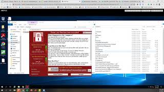 What A Real Ransomware Attack Looks Like [upl. by Iramohs901]