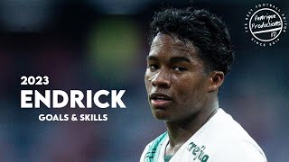 Endrick ► SE Palmeiras ● Goals and Skills ● 2023  HD [upl. by Mandel]