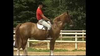 Equitation  Galop 1amp2  Cheval [upl. by Nerok]