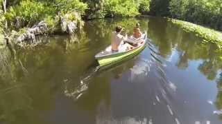 Wekiva Island Canoe Adventure in Florida [upl. by Fredie]