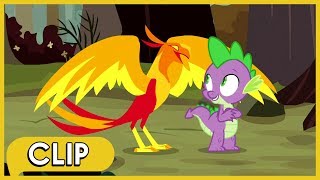 Spike and Rarity Visit Peewee  MLP Friendship Is Magic Season 8 [upl. by Anett]