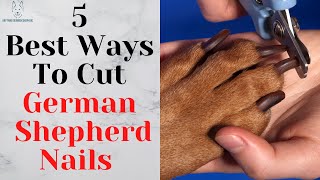 5 Best Ways To Cut German Shepherd Nails [upl. by Artemed]