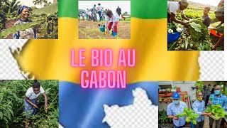 🇬🇦🇬🇦VOICI COMMENT REUSSIR L AGRICULTURE BIOLOGIQUE AU GABON SUR TOUTES LES CULTURES 🇬🇦🇬🇦 [upl. by Eanom983]