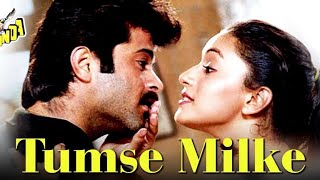 Tumse Milke  Parinda  Anil Kapoor Madhuri Dikshit [upl. by Norma746]