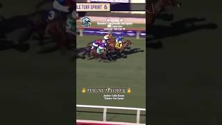 MAGNUM FORCE wins the Breeders’ Cup Juvenile Turf Sprint 🏆👏 [upl. by Malchus746]