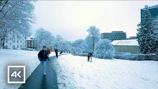 🇩🇰 Aarhus Denmark  Snow Fall Walking Tour 4K  Dec 2023 [upl. by Kho357]