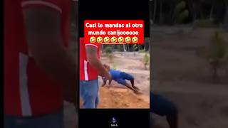 Casi se lo echa 🤣🤣 videoschistosos videosdivertidos risas comedia funnyvideo humor chistes [upl. by Suirradal]