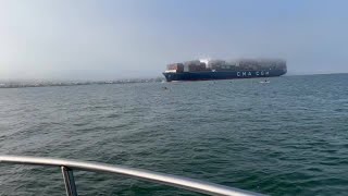 Alcatraz swimmers cut off by cargo ship [upl. by Searcy]