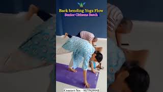 Back bending Yoga Flow YogaForAll virajyoga puneyoga nandedcity virajyoga splityoga YogaFlow [upl. by Laurianne]