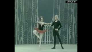 Nina Timofeyeva and Alexander Godunov – PDD from Don Quixote 1976 [upl. by Ileyan517]