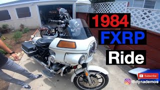 1984 FXRP Walkaround  Motovlog [upl. by Xam]