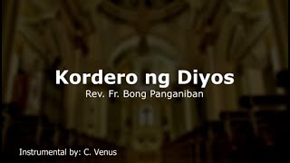 Kordero ng Diyos Bong Panganiban Organ Instrumental [upl. by Sosna]