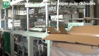 Full Automatic Tableware Making Machine Paper pulp Plate Production Line [upl. by Gervase]