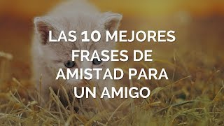 Las 10 Mejores Frases de Amistad Para Un Amigo [upl. by Enuahs]