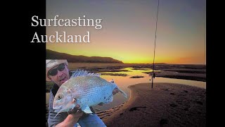 SURFCASTING AUCKLAND Back out West for a few Hot Summer Missions [upl. by Conn]