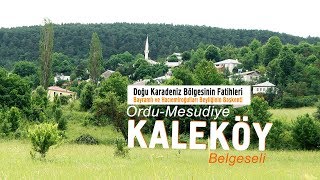 Ordu Mesudiye  KALEKÖY BELGESELİ [upl. by Sissie]