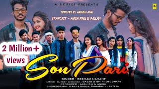 Sonpari  सोनपरी  new cg album song  Anish king  pallavi  singer Resham mahant SonPari cg [upl. by Yaya]