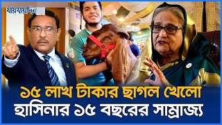 শেখ হাসিনার পতনের পেছনে দায়ী সাদিক এগ্রোর সেই ১৫ লাখ টাকার ছাগল  Sheikh Hasina  Jaijaidin News [upl. by Ahserkal332]