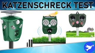 ᐅ Katzenschreck Test 2023  Die besten Katzenschrecks vorgestellt [upl. by Ainitsirc]