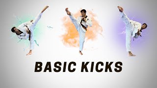 Taekwondo Basic Kicks [upl. by Gluck997]