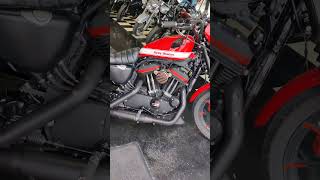 Harley Davidson Sportster XL 883 Iron Abs [upl. by Jacquelin]