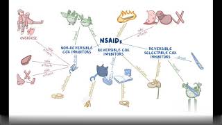 Non Steroidal Anti Inflammatory Drugs NSAIDs Pharmacology [upl. by Oluap]