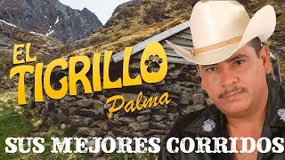 EL TIGRILLO PALMA MIX CORRIDOS SIERREÑOS SOLO LO MEJOR [upl. by Nelo]