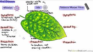 Communicable Diseases for AQA 91 GCSE Biology and Trilogy Combined Science [upl. by Annayar]