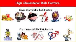 12 High Cholesterol Risk Factors [upl. by Haerb89]