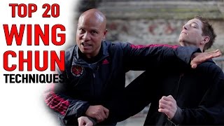 Top 20 wing Chun Techniques [upl. by Naes]