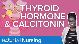 Thyroid Hormone and Calcitonin How are they connected  Lecturio Nursing Physiology [upl. by Annaira]