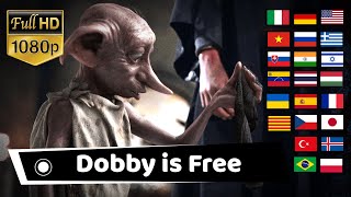 quotDOBBY IS FREEquot in Different Languages Harry Potter  Dobby Gets a Sock Multilanguage [upl. by Bidle673]